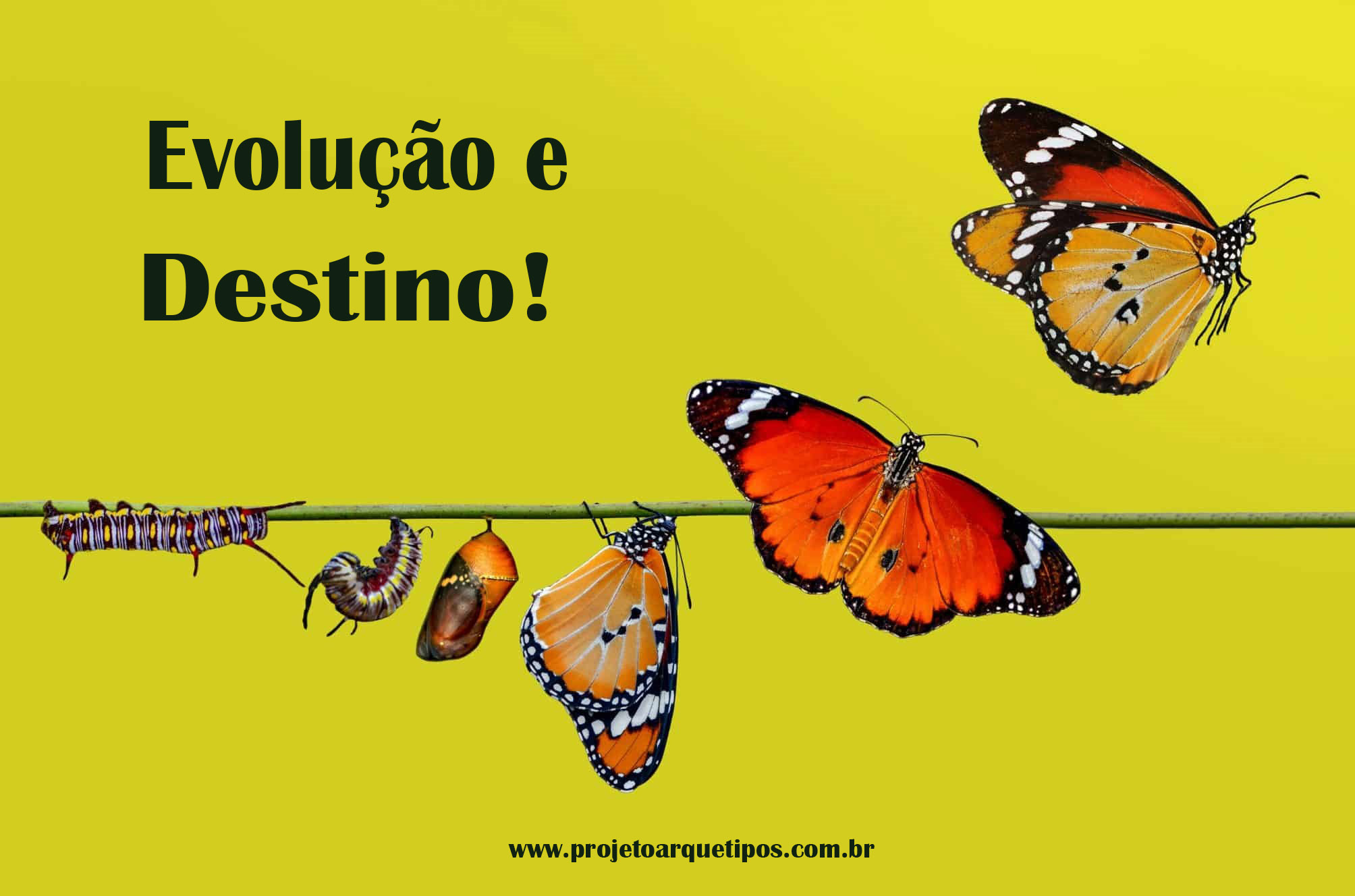 Formas de Evoluir - Projeto Arquétipos